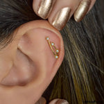 12 Zodiac Earrings, Constellation Stud Earring Stud Piercing Tragus Helix Lobe and Cartilage Silver And Gold