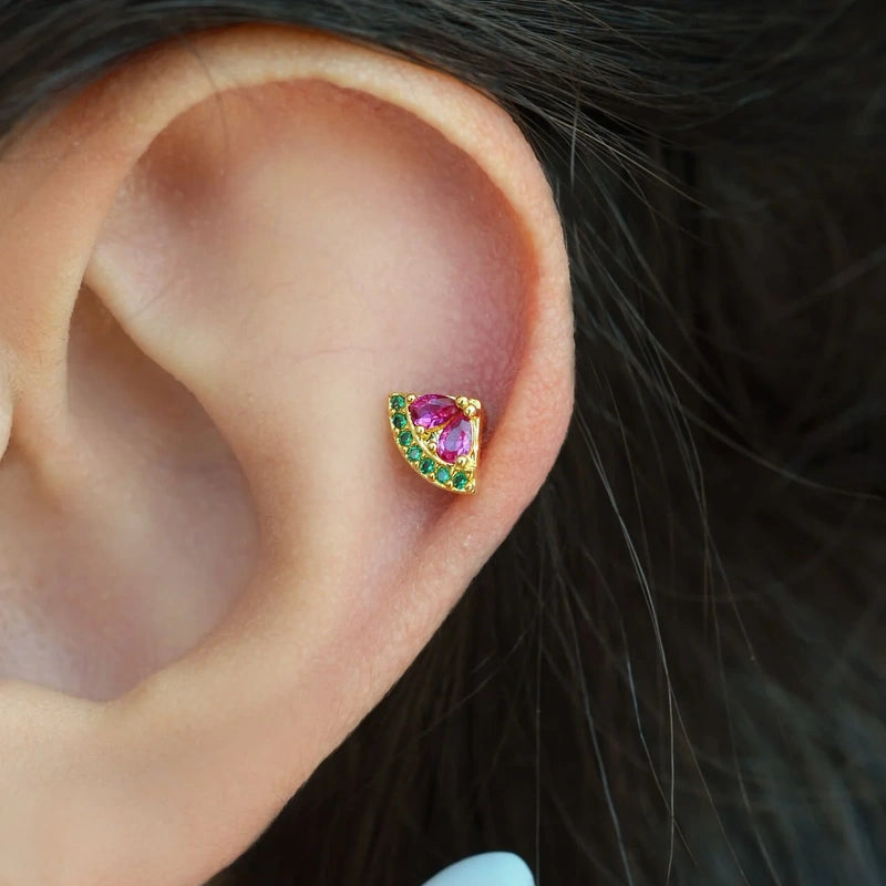 Steel Watermelon Slice Earrings Fruit Earrings,  Summer Earrings, Stud Earrings, Conch  Tragus Piercing Helix Lobe Cartilage