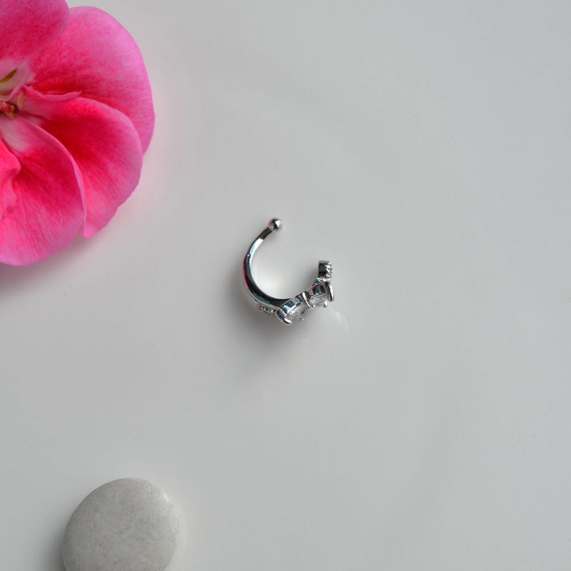 #color_silver