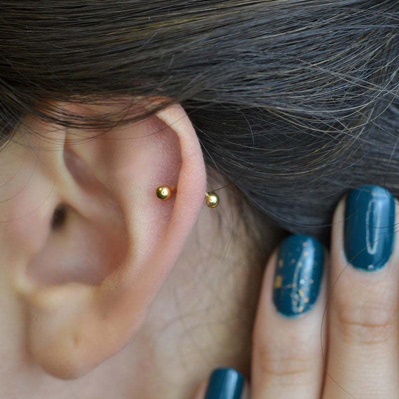 Piercing with Two Ends Bulk  Cartilage